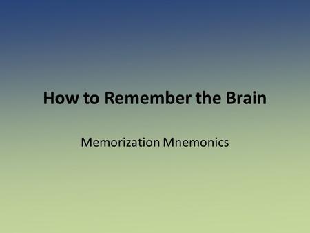 How to Remember the Brain