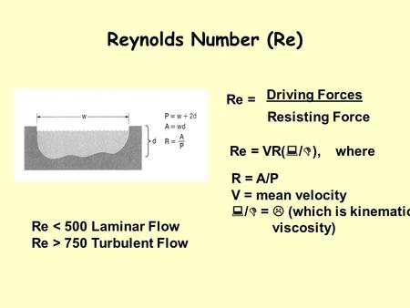 Reynolds Number (Re) Re = R = A/P V = mean velocity  /  =  (which is kinematic viscosity) Re = VR(  /  ), where Driving Forces Resisting Force Re.
