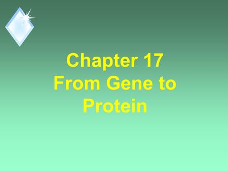 Chapter 17 From Gene to Protein. Question? u How does DNA control a cell? u By controlling Protein Synthesis. u Proteins are the link between genotype.