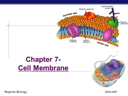 Regents Biology 2006-2007 Chapter 7- Cell Membrane.