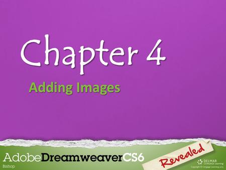 Chapter 4 Adding Images. Chapter 4 Lessons Introduction 1.Insert and align images 2.Enhance an image and use alternate text 3.Insert a background image.