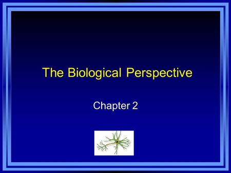 The Biological Perspective Chapter 2. Chapter 2 Learning Objective Menu LO 2.1 What are the nervous system, neurons and nerves LO 2.2 How neurons use.