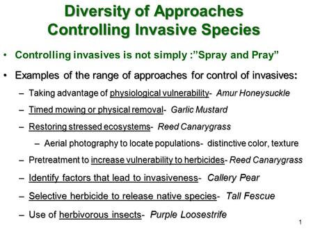Diversity of Approaches Controlling Invasive Species Controlling invasives is not simply :”Spray and Pray” Examples of the range of approaches for control.