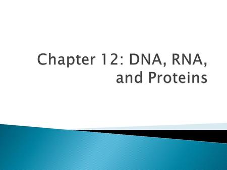 A. DNA— deoxyribonucleic acid; determines an organism’s traits by controlling when proteins in the body are made 1. Proteins and enzymes —control most.