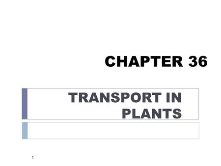 CHAPTER 36 TRANSPORT IN PLANTS.