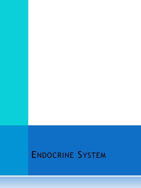 E NDOCRINE S YSTEM. T HE F UNCTIONS OF THE E NDOCRINE S YSTEM  Endocrine System  Controls daily activities  Controls growth and development  Controls.