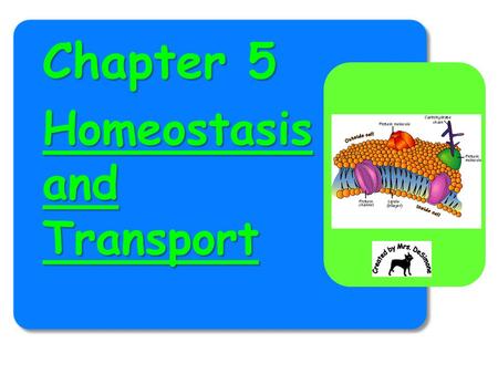Chapter 5 Homeostasis and Transport.