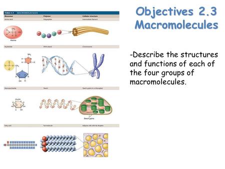 Objectives 2.3 Macromolecules