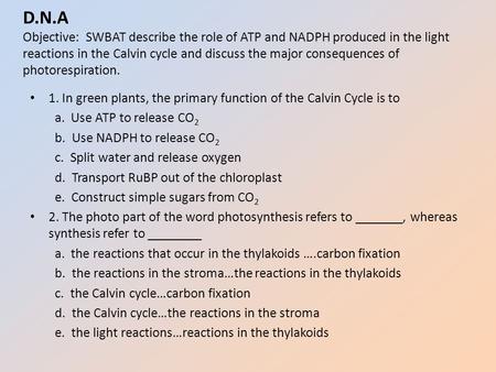 D.N.A Objective: SWBAT describe the role of ATP and NADPH produced in the light reactions in the Calvin cycle and discuss the major consequences of photorespiration.