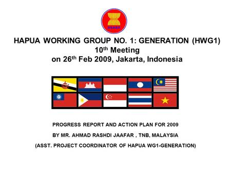 HAPUA WORKING GROUP NO. 1: GENERATION (HWG1) 10 th Meeting on 26 th Feb 2009, Jakarta, Indonesia PROGRESS REPORT AND ACTION PLAN FOR 2009 BY MR. AHMAD.