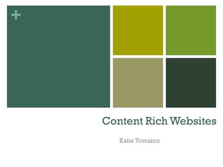 + Content Rich Websites Katie Tomaino. + What is a Content-Rich Website? “Organizes the online personality of your organization to delight, entertain,