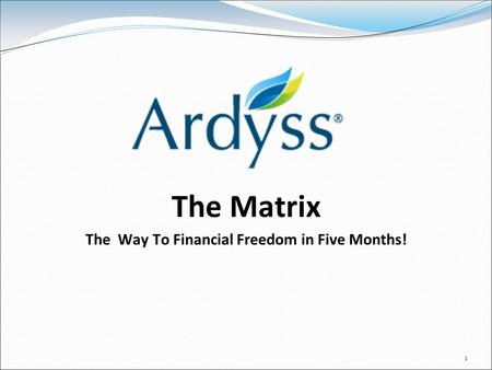 1 The Matrix The Way To Financial Freedom in Five Months!