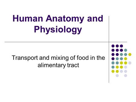 Human Anatomy and Physiology Transport and mixing of food in the alimentary tract.