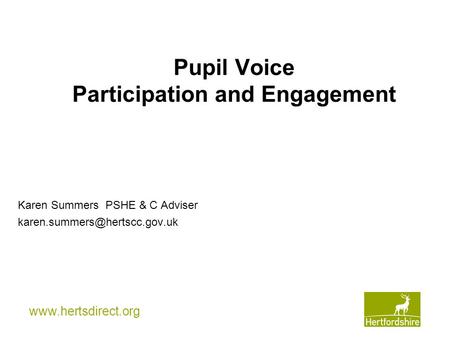 Pupil Voice Participation and Engagement Karen Summers PSHE & C Adviser