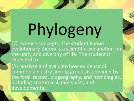 Phylogeny (7)  Science concepts. The student knows evolutionary theory is a scientific explanation for the unity and diversity of life. The student is.