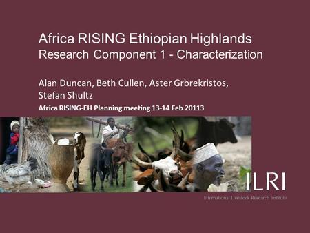 Africa RISING Ethiopian Highlands Research Component 1 - Characterization Alan Duncan, Beth Cullen, Aster Grbrekristos, Stefan Shultz Africa RISING-EH.