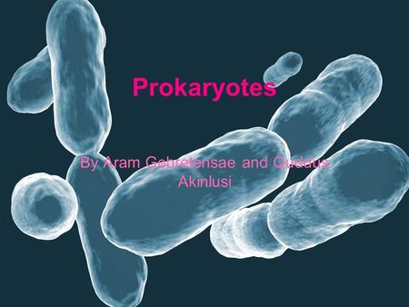 Prokaryotes By Aram Gebretensae and Quddus Akinlusi.