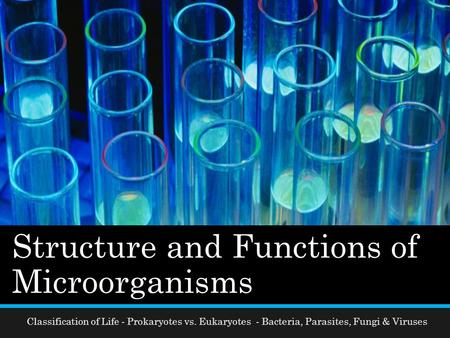 Structure and Functions of Microorganisms
