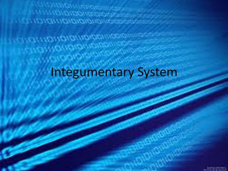 Integumentary System. The integumentary system is all about protection. This system protects your body from diseases by providing a shield blocking off.