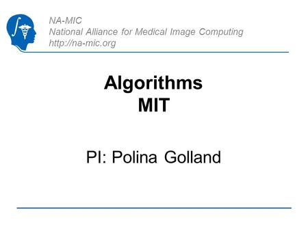 NA-MIC National Alliance for Medical Image Computing  Algorithms MIT PI: Polina Golland.