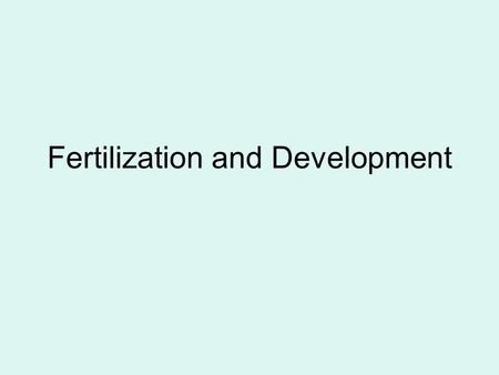 Fertilization and Development Ovulation is when the egg is released from the follicle.