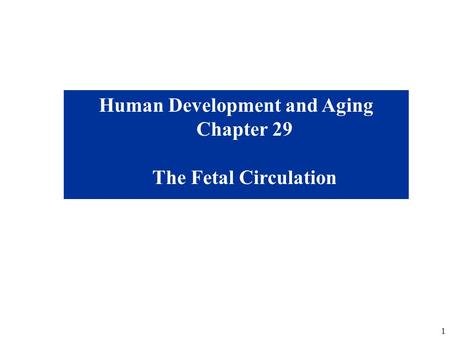 Human Development and Aging Chapter 29 The Fetal Circulation