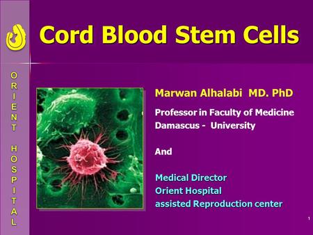 1 Cord Blood Stem Cells Cord Blood Stem Cells Marwan Alhalabi MD. PhD Professor in Faculty of Medicine Damascus - University And Medical Director Orient.