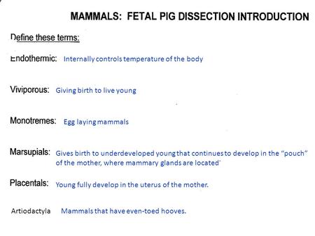 Internally controls temperature of the body Giving birth to live young Egg laying mammals Gives birth to underdeveloped young that continues to develop.