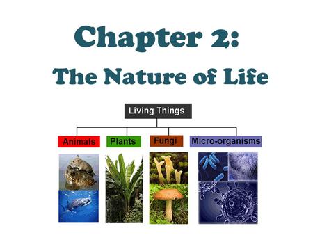 Chapter 2: The Nature of Life.