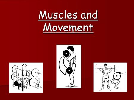 Muscles and Movement. Last lesson (Previous Learning) Warm-up & Cool-down Warm-up Pulse Raising & Stretching to reduce risk of injury & prepare the body.
