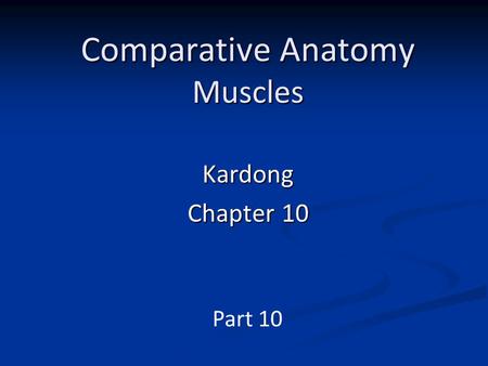 Comparative Anatomy Muscles