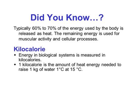 Did You Know…? Kilocalorie