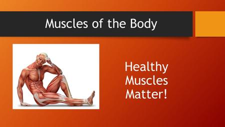 Healthy Muscles Matter!