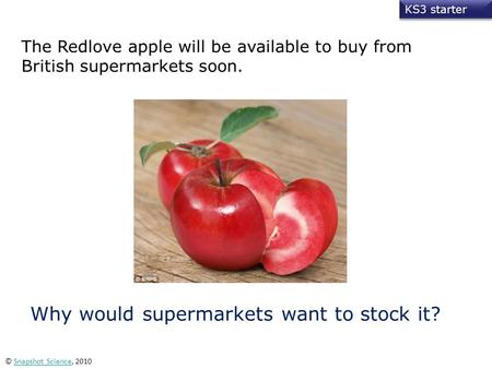 KS3 starter © Snapshot Science, 2010Snapshot Science The Redlove apple will be available to buy from British supermarkets soon. Why would supermarkets.