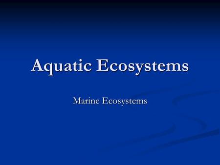 Aquatic Ecosystems Marine Ecosystems. Objectives Be able to explain why an estuary is a very productive ecosystem Be able to explain why an estuary is.