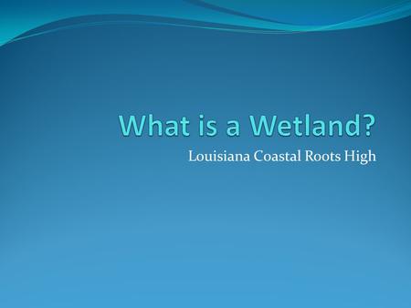 Louisiana Coastal Roots High. Read and Discuss The swamps and marshes of coastal Louisiana are among the Nation's most fragile and valuable wetlands,