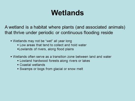 Wetlands A wetland is a habitat where plants (and associated animals) that thrive under periodic or continuous flooding reside  Wetlands may not be “wet”