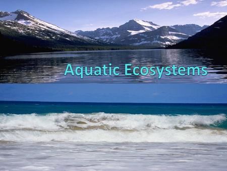 Aquatic Ecosystems.
