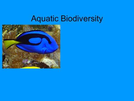Aquatic Biodiversity.