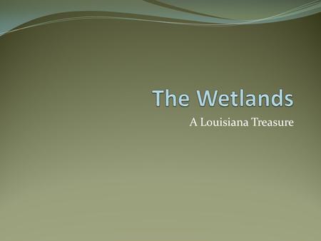 A Louisiana Treasure. What is a wetland? A low-lying area of soft waterlogged ground and standing water Transition zones between land and water Three.