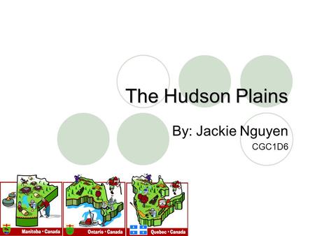 The Hudson Plains By: Jackie Nguyen CGC1D6. Key Terms Ecozone: an area on the earth’s surface with a unique combination of plants, animals, climate, landforms,