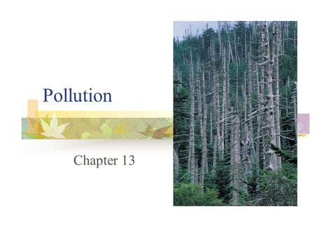 Pollution Chapter 13. Water Pollution Types and Sources of Water Pollution  #1 problem - Eroded soils  Organic wastes, disease-causing agents  Chemicals,