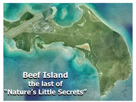 Beef Island the last of “Nature’s Little Secrets” Beef Island the last of “Nature’s Little Secrets”