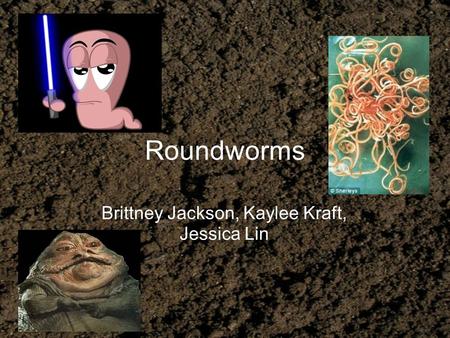 Roundworms Brittney Jackson, Kaylee Kraft, Jessica Lin.