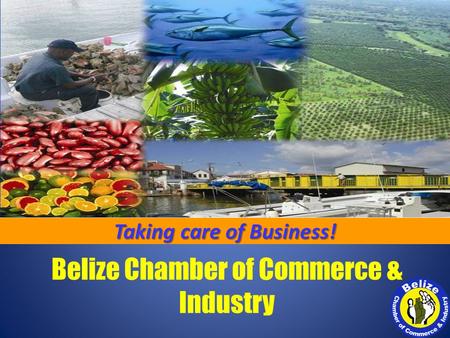 Belize Chamber of Commerce & Industry Taking care of Business!