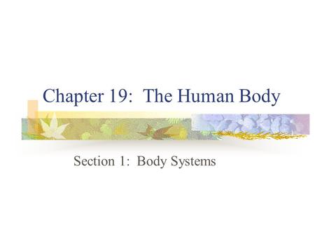 Chapter 19: The Human Body
