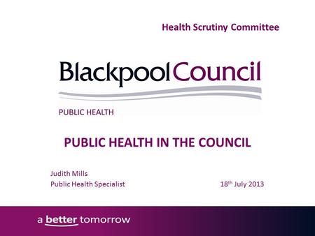 PUBLIC HEALTH IN THE COUNCIL Judith Mills Public Health Specialist 18 th July 2013 Health Scrutiny Committee.
