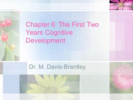 Chapter 6: The First Two Years Cognitive Development Dr. M. Davis-Brantley.