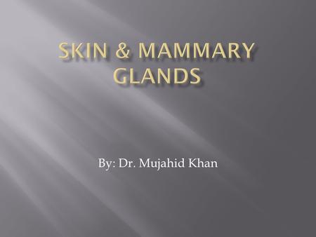 By: Dr. Mujahid Khan.  The skin is a membranous protective covering of the body  Is a complex organ system  It consists of two layers derived from.