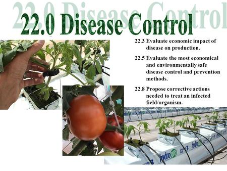 22.3 Evaluate economic impact of disease on production. 22.5 Evaluate the most economical and environmentally safe disease control and prevention methods.